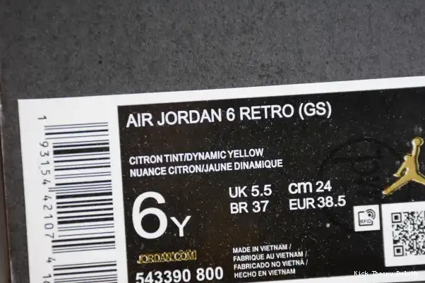 Kick Theory (GS) Air Retro 6 Jordan Dynamic 543390-800 Floral Yellow 0215