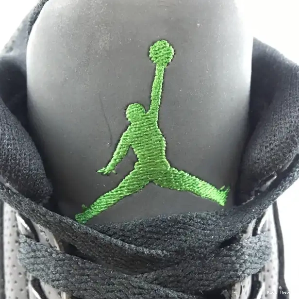 Kick Theory Duluth Air AJ3-902027 Oregon Jordan Retro 3 Duck 0219